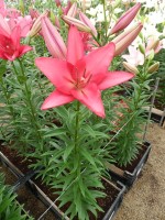 [5062 Fair Banks No01.JPG]